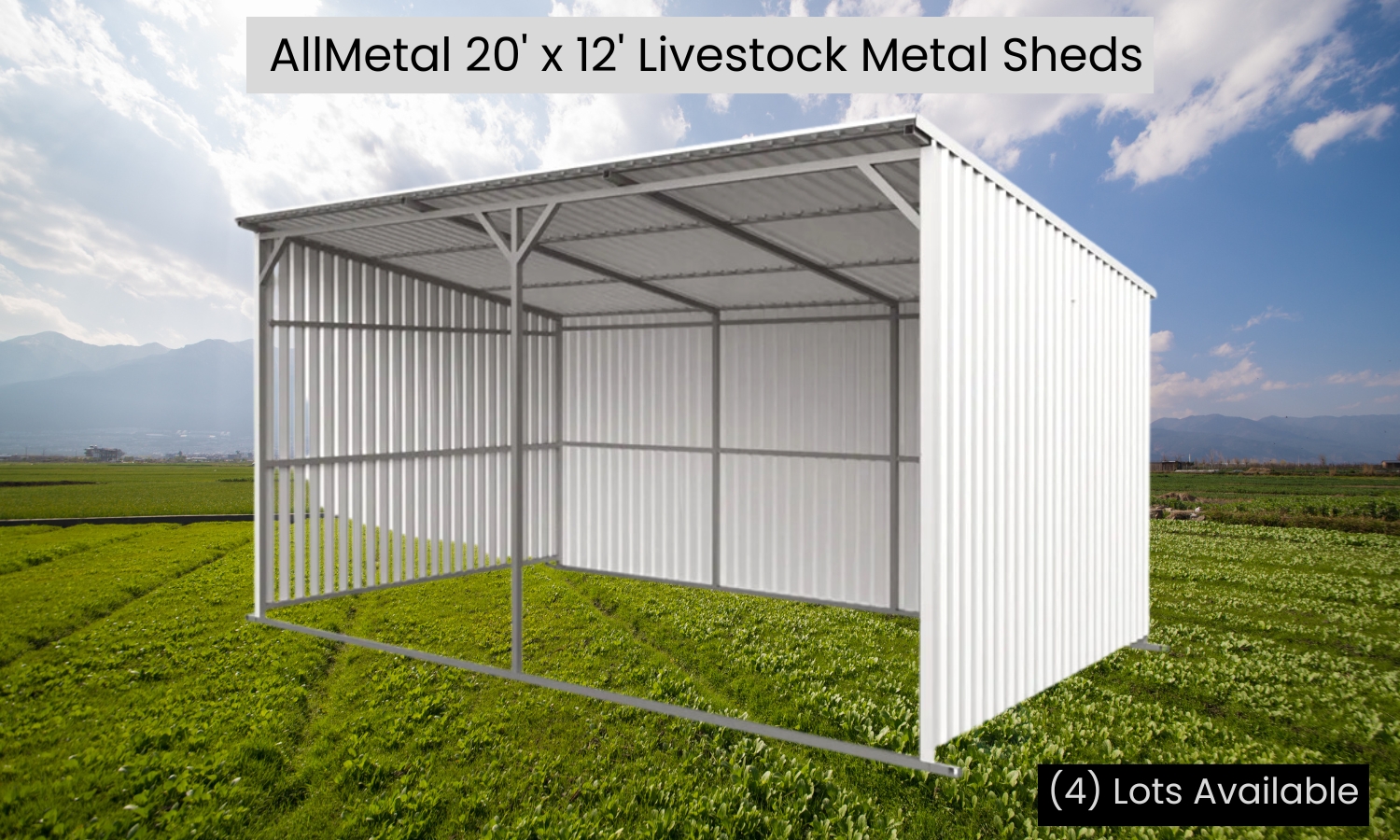 AllMetal 20' x 12' Livestock Metal Shed (2)